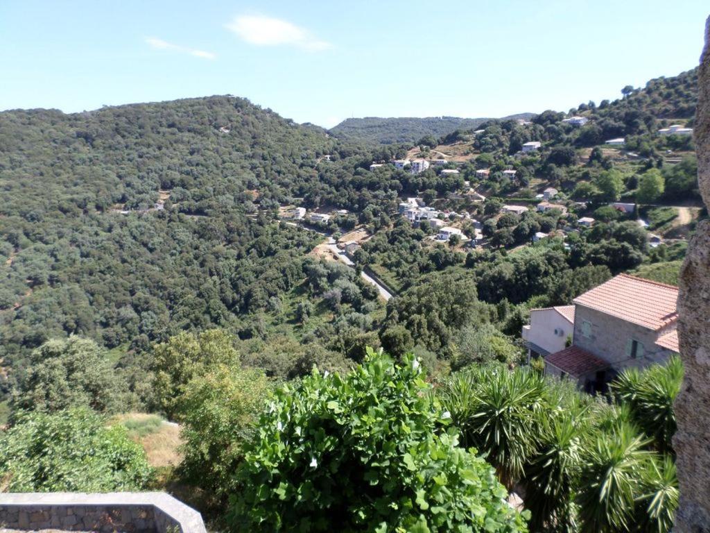 Appartement De Charme Entre Mer Et Montagne Sollacaro Exterior foto